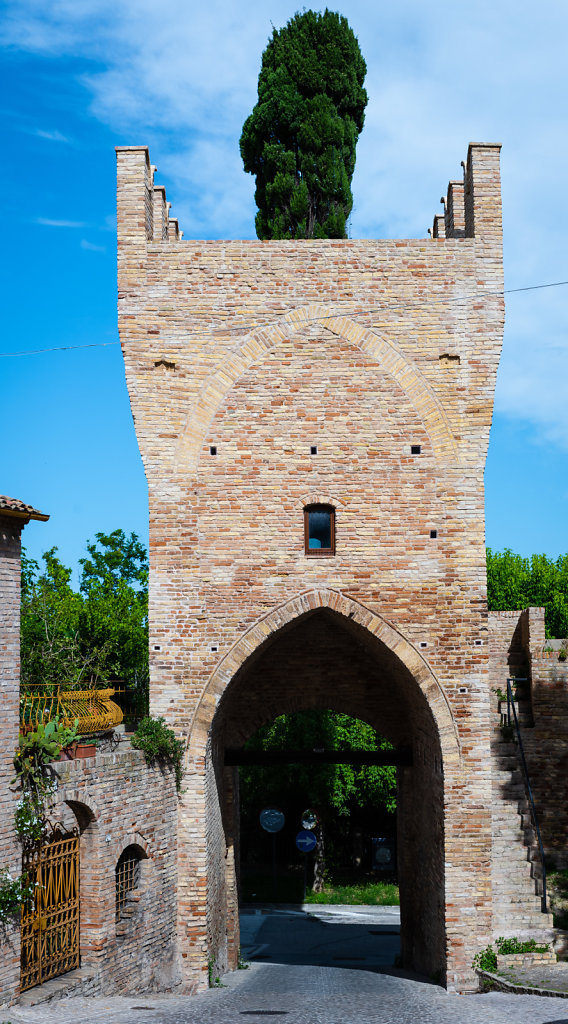 DSC-3134.jpg