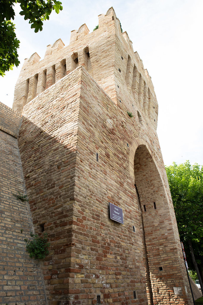 DSC-3136.jpg