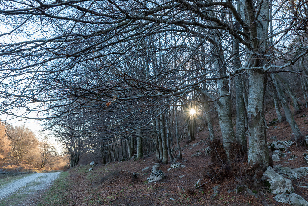 DSC-3387-HDR.jpg