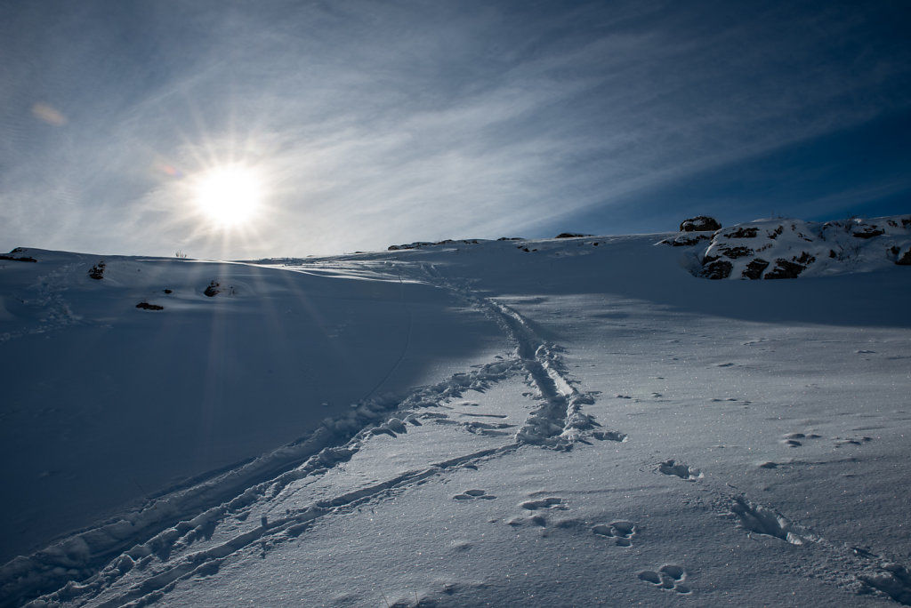 DSC-3498-HDR-11.jpg