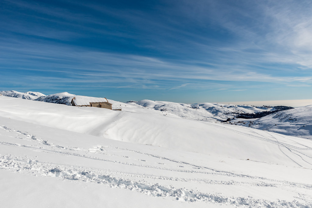 DSC-3516-17.jpg