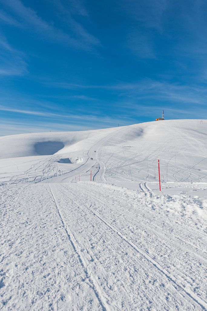 DSC-3530-24.jpg