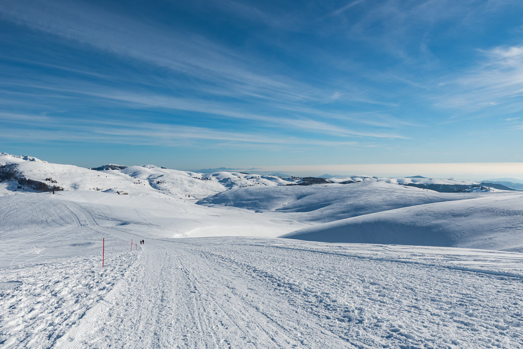 DSC-3536-27.jpg