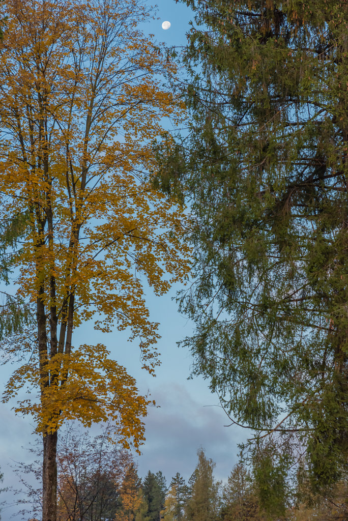 DSC-3848.jpg