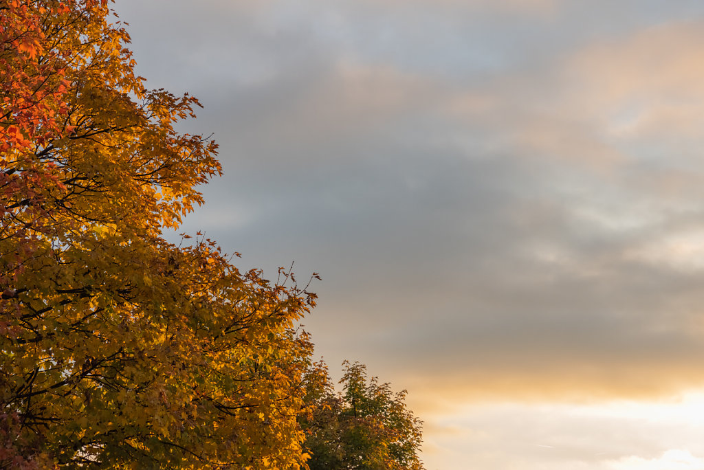 DSC-3866.jpg