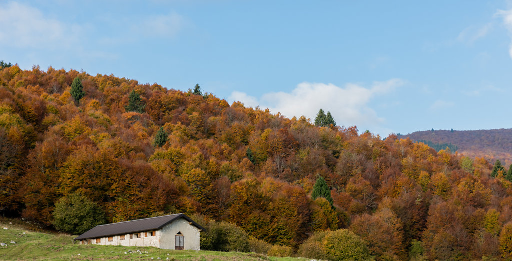 DSC-3917.jpg
