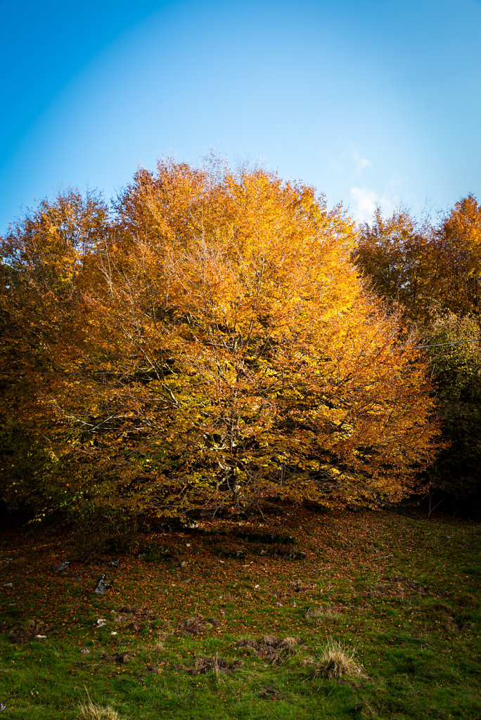DSC-3926.jpg