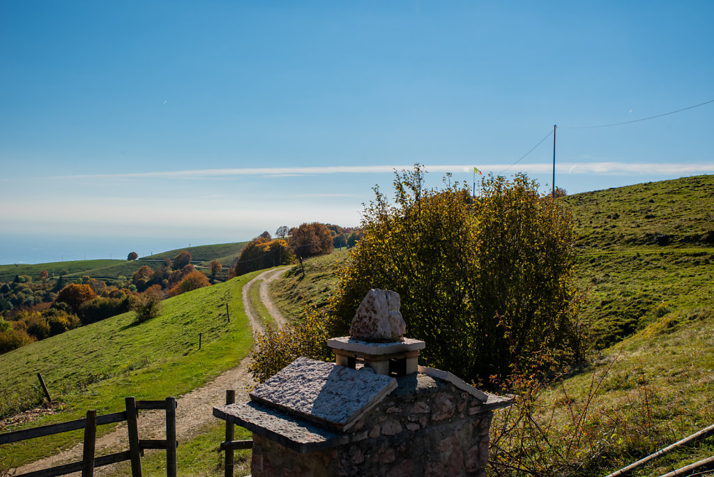 DSC-3987.jpg