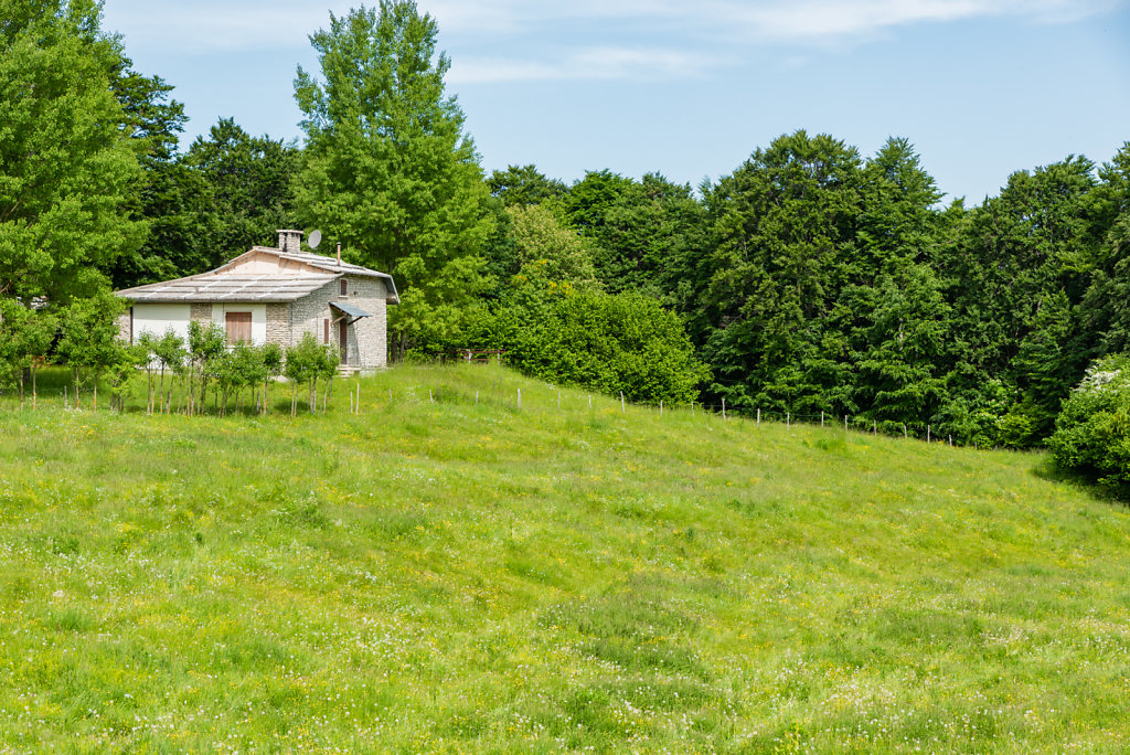 DSC-4135.jpg