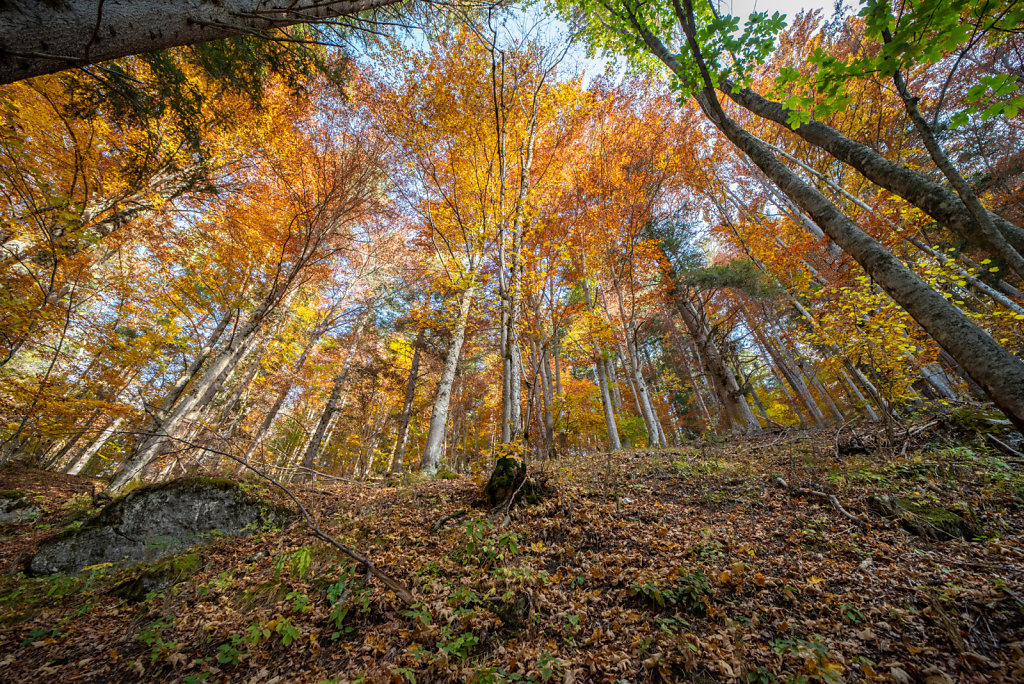 DSC-4700-HDR.jpg