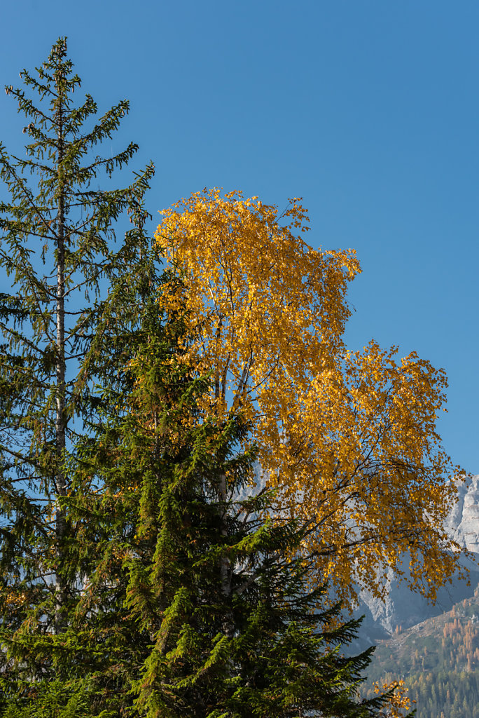 DSC-4728.jpg