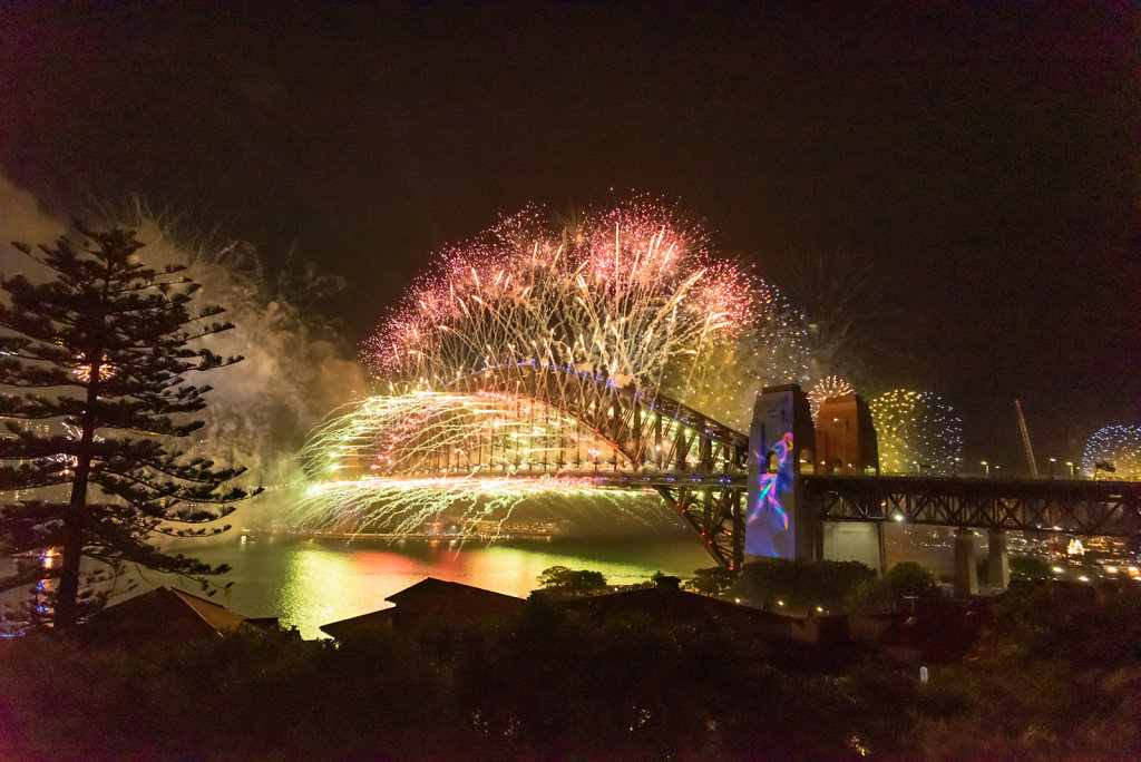 DSC-2409-resize.jpg